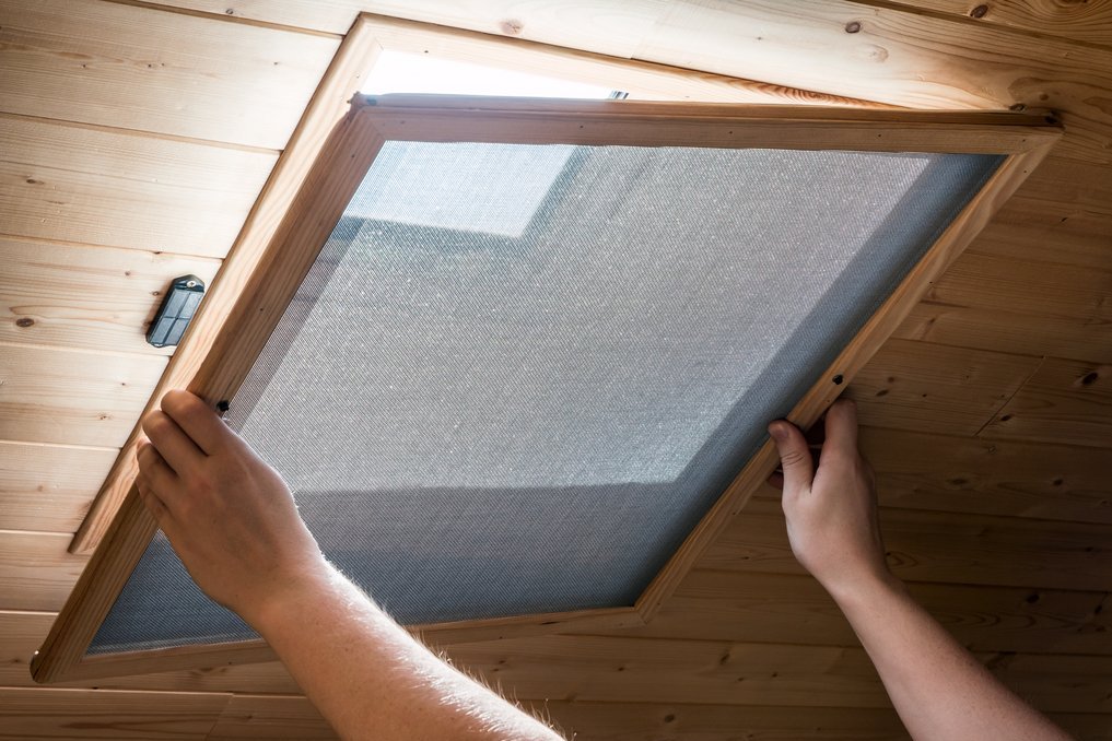 Insektenschutz für Fenster und Türen. Individuelle Lösungen vom Fachbetrieb in Rheinland-Pfalz